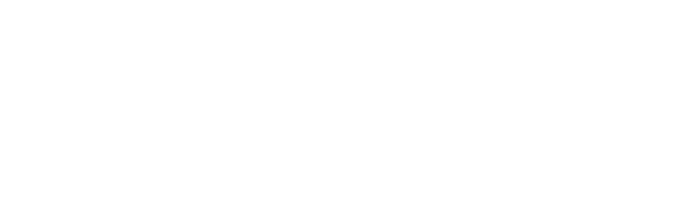 Brigade Stellaris